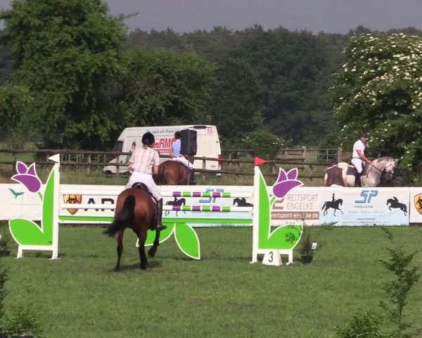 Reitturnier Schillerslage 2018