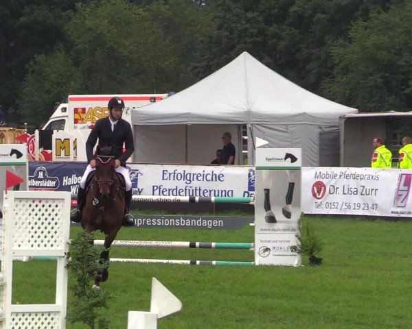 Reitturnier Schillerslage 2018