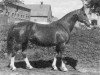 broodmare Govoruha (Hanoverian, 1981, from Gelij)