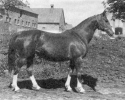 broodmare Govoruha (Hanoverian, 1981, from Gelij)