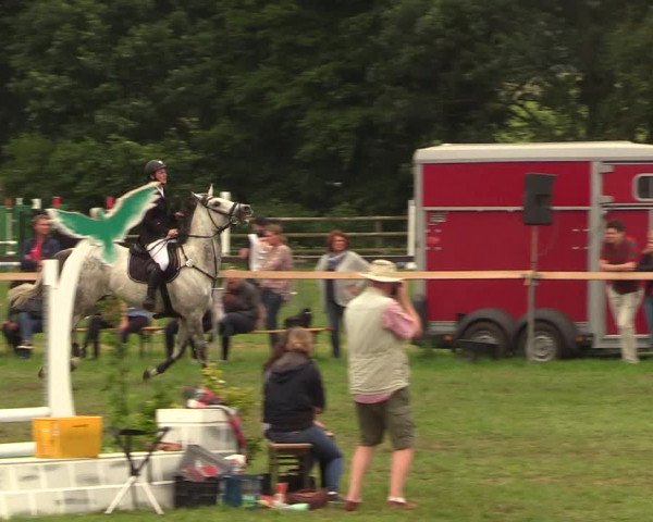 Reitturnier Schillerslage 2018