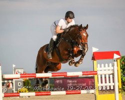 jumper Jeefrey (polish noble half-breed, 2006, from Day Dream II S)