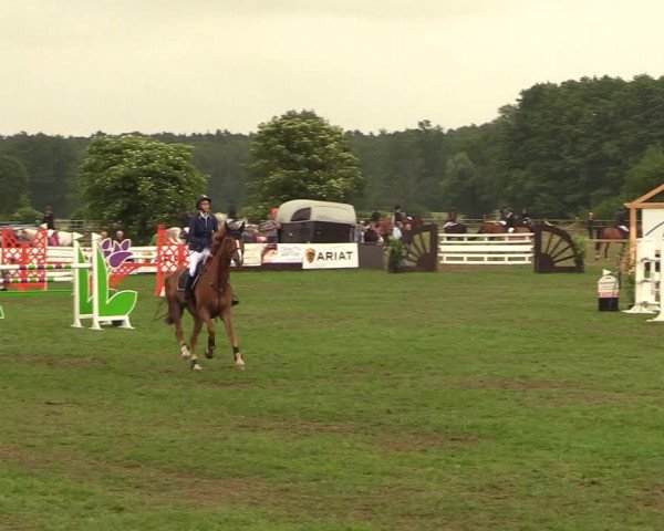 Reitturnier Schillerslage 2018