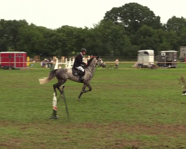 Reitturnier Schillerslage 2018
