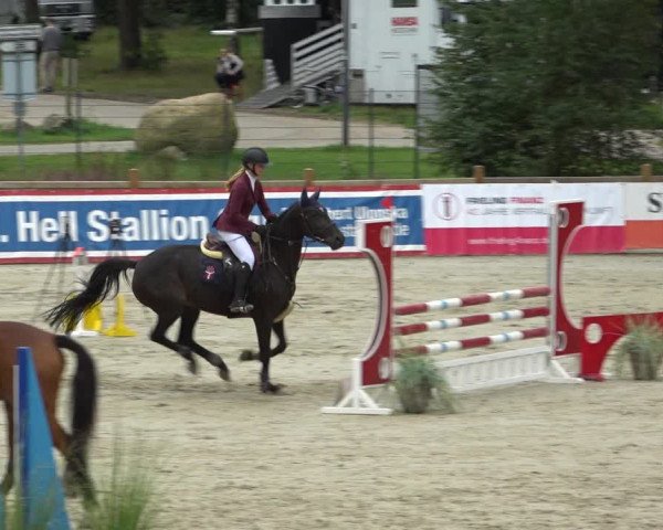 Reitturnier Westergellersen 2021