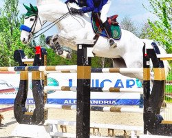 jumper Che Guevara 22 (Oldenburg show jumper, 2003, from Come On)