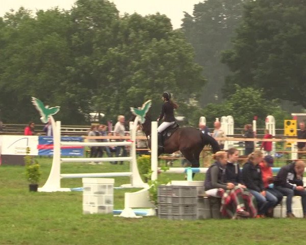 Reitturnier Schillerslage 2018