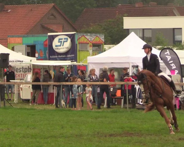 Reitturnier Schillerslage 2018