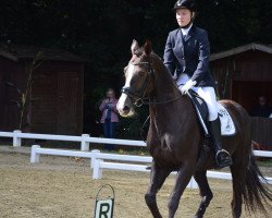 dressage horse Dialegra (Hanoverian, 2011, from Diamond Hit)