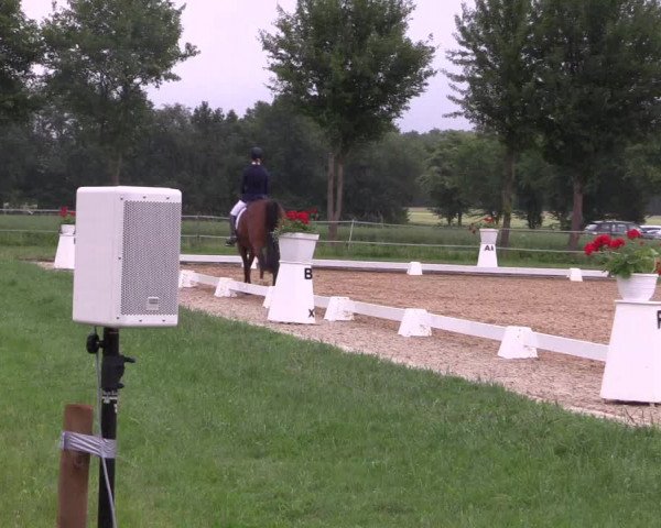 Reitturnier Hille 2018