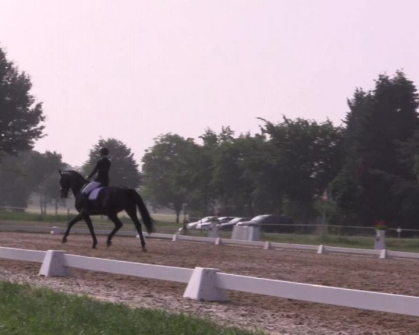 Reitturnier Hille 2018