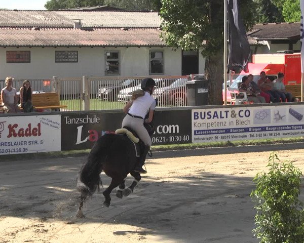 Reitturnier Viernheim 2018
