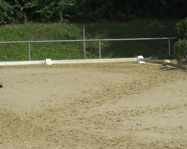 Reitturnier Ladenburg 2018