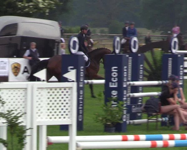 Reitturnier Schillerslage 2018