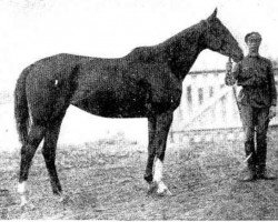 broodmare Bezzabotna xx (Thoroughbred, 1924, from Brimston xx)