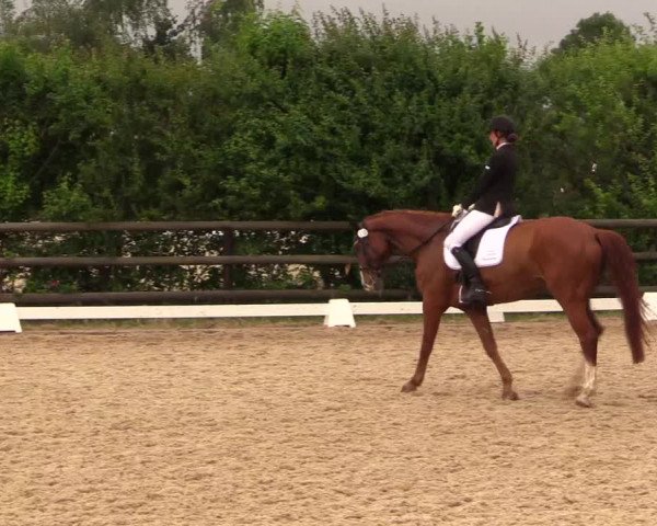 Reitturnier Schillerslage 2018