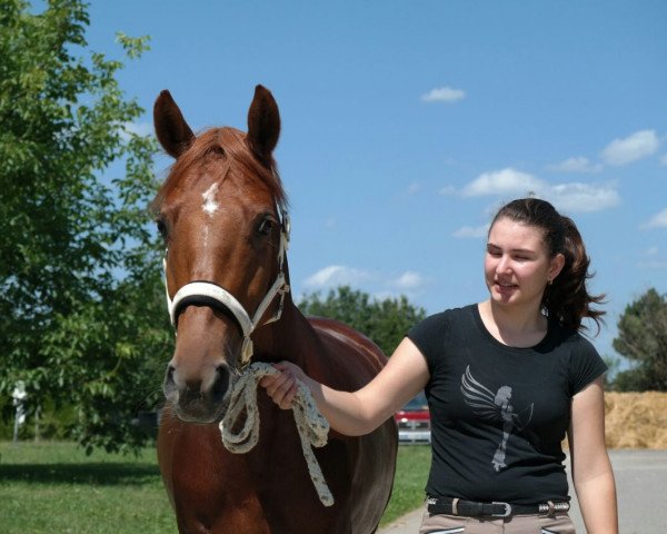 Zuchtstute Wanda B (Deutsches Reitpony, 2012, von White Gold B)