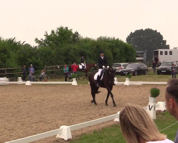 Reitturnier Schillerslage 2018