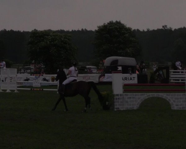 Reitturnier Schillerslage 2018