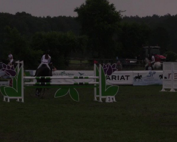 Reitturnier Schillerslage 2018