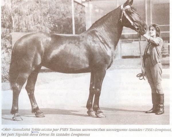 broodmare Tekla (Latvian Warmblood, 1952, from Gotenfirsts)