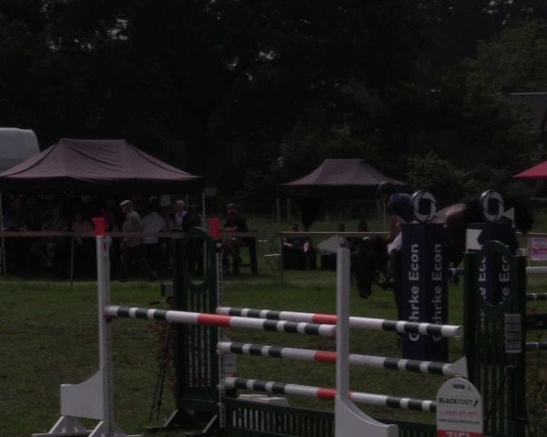 Reitturnier Schillerslage 2018