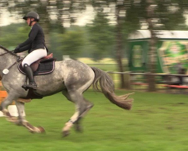 Reitturnier Hille 2018