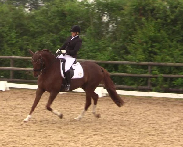 Reitturnier Schillerslage 2018