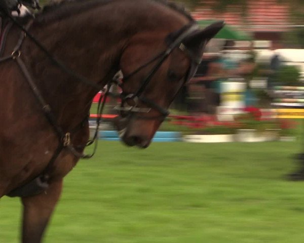Reitturnier Hille 2018