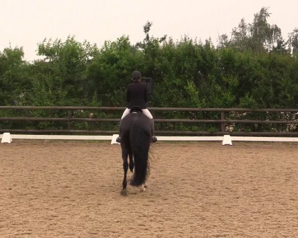 Reitturnier Schillerslage 2018