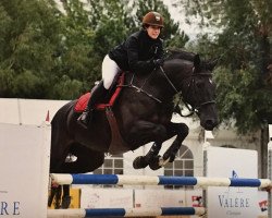 jumper Carlina Z (KWPN (Royal Dutch Sporthorse), 2007, from Carthino Z)