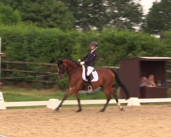 Reitturnier Schillerslage 2018