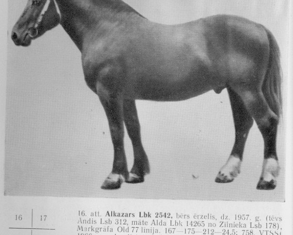 stallion Alkazārs (Latvian Warmblood, 1957, from Andis)