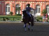 dressage horse Skovvangs Barok (Danish Warmblood, 2007, from Firenze)