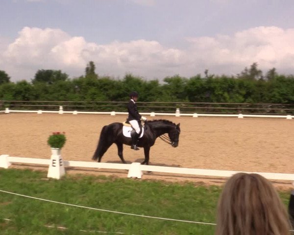 Reitturnier Schillerslage 2018