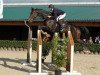 jumper Contessa 187 (Hanoverian, 2008, from Contendro I)