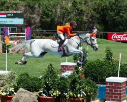 jumper Wishkarla (KWPN (Royal Dutch Sporthorse), 2003, from Cavalier)