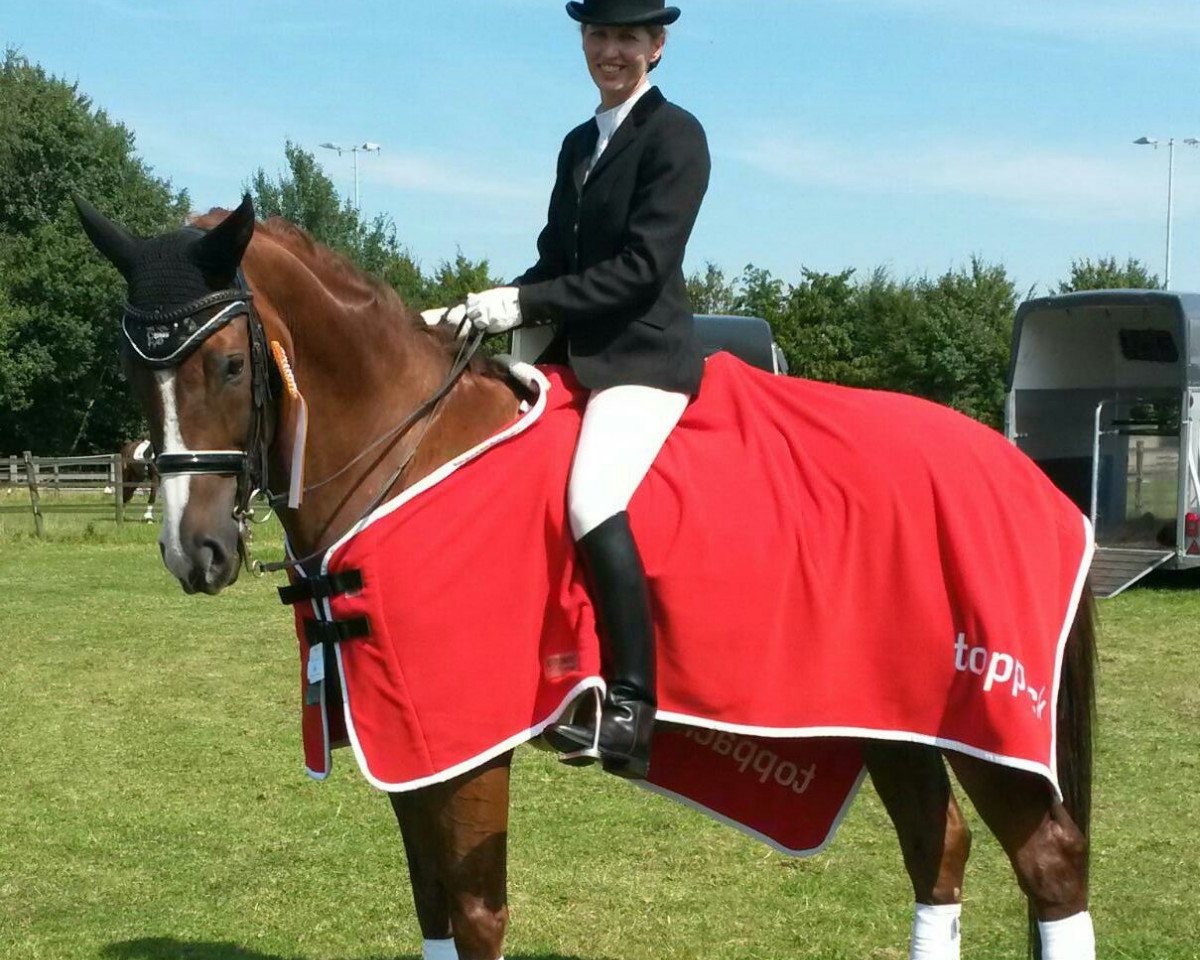 dressage horse Fiabolo G (Westphalian, 2004, from Fürst Piccolo)