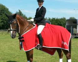 dressage horse Fiabolo G (Westphalian, 2004, from Fürst Piccolo)