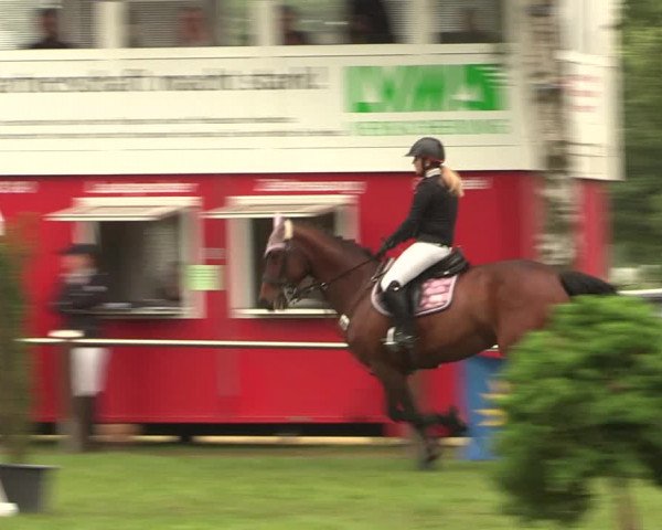Reitturnier Hille 2018