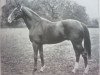 stallion Rameses the Second xx (Thoroughbred, 1927, from Gainsborough xx)