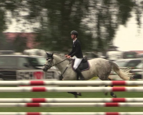 Reitturnier Hille 2018