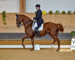 dressage horse Wallander 3 (Hanoverian, 1998, from Wolkenstein II)