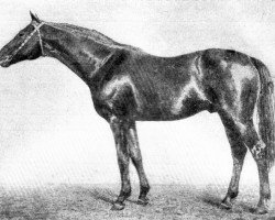 stallion Satir xx (Thoroughbred, 1915, from Saltpetre xx)