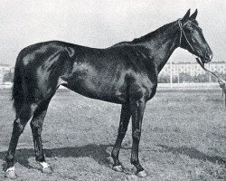 broodmare Grafirovka xx (Thoroughbred, 1959, from Faktotum xx)