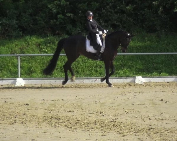 Reitturnier Ladenburg 2018