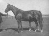 broodmare Zhanna (Don Horse, 1927, from Bujan)