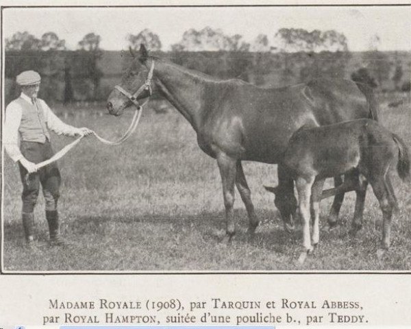 broodmare Madame Royale xx (Thoroughbred, 1908, from Tarquin xx)