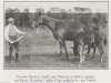 broodmare Madame Royale xx (Thoroughbred, 1908, from Tarquin xx)