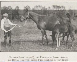 broodmare Madame Royale xx (Thoroughbred, 1908, from Tarquin xx)